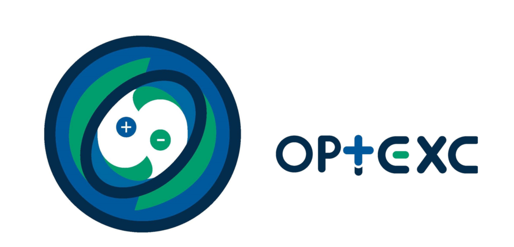 Logo des IRTG Optexc